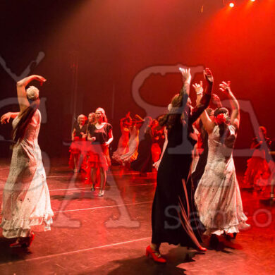 Ai!aDança em Festa 693