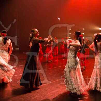 Ai!aDança em Festa 697