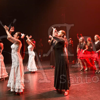 Ai!aDança em Festa 703