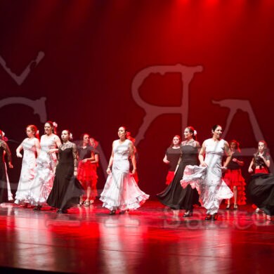 Ai!aDança em Festa 710