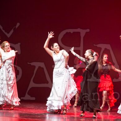 Ai!aDança em Festa 717