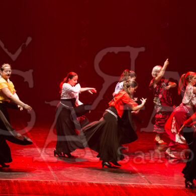 Ai!aDança em Festa 855