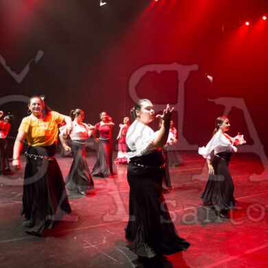 Ai!aDança em Festa 868