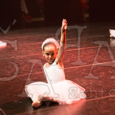 Ai!aDança em Festa 1032