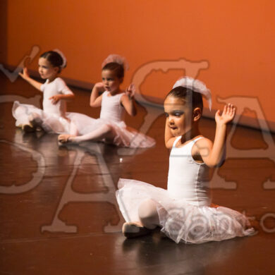 Ai!aDança em Festa 1035