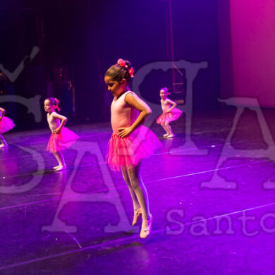 Ai!aDança em Festa 1045