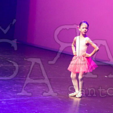 Ai!aDança em Festa 1048