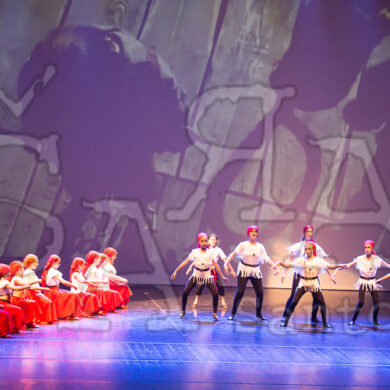 Ai!aDança em Festa 1149