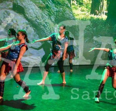 Grandes Mestres a Dançar 367