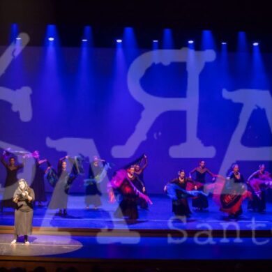 Grandes Mestres a Dançar 411