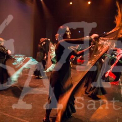 Grandes Mestres a Dançar 425