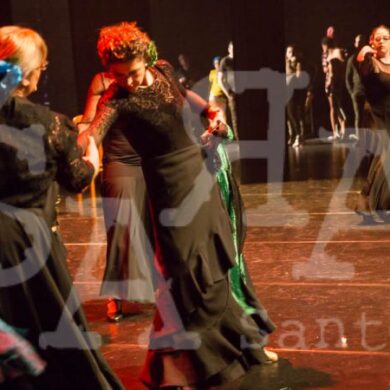 Grandes Mestres a Dançar 429