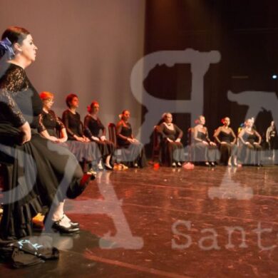 Grandes Mestres a Dançar 431