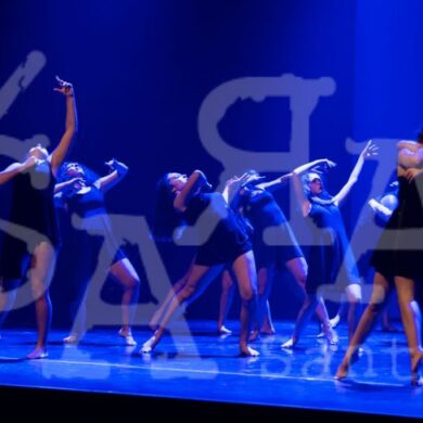 Grandes Mestres a Dançar 491