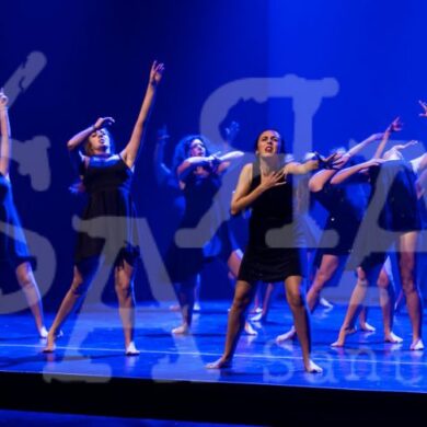 Grandes Mestres a Dançar 493