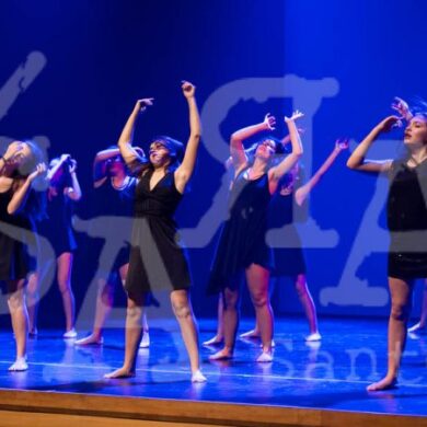 Grandes Mestres a Dançar 499