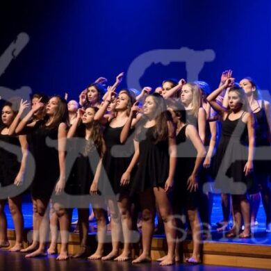 Grandes Mestres a Dançar 502