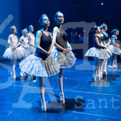 Grandes Mestres a Dançar 585