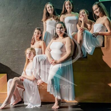 Dança em mim, Portugal! 453