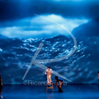 Dança em mim, Portugal! 355