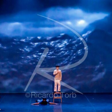 Dança em mim, Portugal! 356