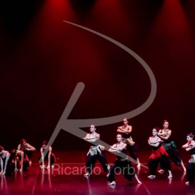 Dança em mim, Portugal! 242