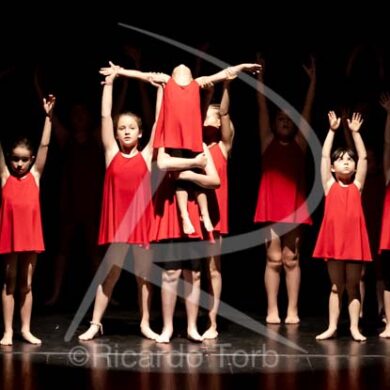 Dança em mim, Portugal! 256