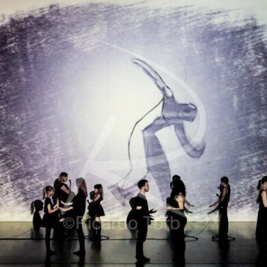 Dança em mim, Portugal! 357