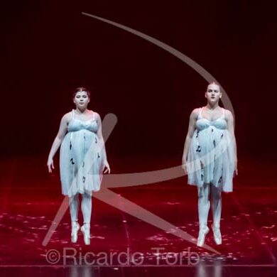 Dança em mim, Portugal! 224