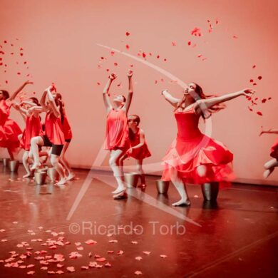 Dança em mim, Portugal! 377