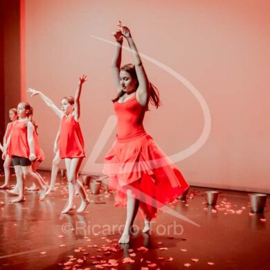 Dança em mim, Portugal! 378