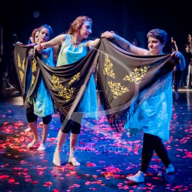 Dança em mim, Portugal! 389