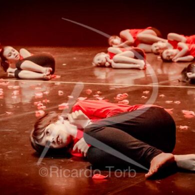 Dança em mim, Portugal! 382