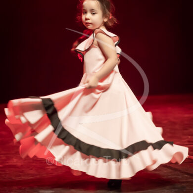 O ESPÍRITO DA DANÇA - 0031