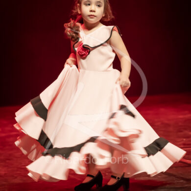 O ESPÍRITO DA DANÇA - 0032