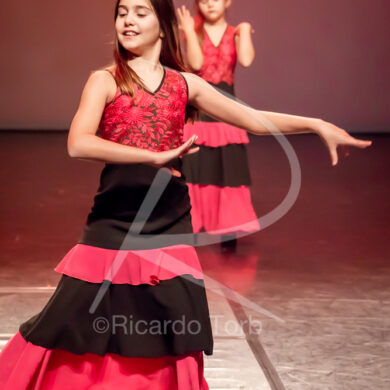 O ESPÍRITO DA DANÇA - 0039