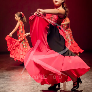 O ESPÍRITO DA DANÇA - 0042