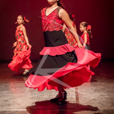 O ESPÍRITO DA DANÇA - 0043