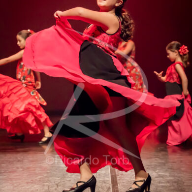 O ESPÍRITO DA DANÇA - 0045