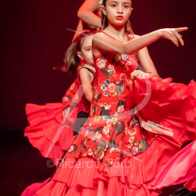 O ESPÍRITO DA DANÇA - 0050