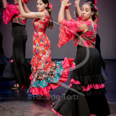 O ESPÍRITO DA DANÇA - 0088