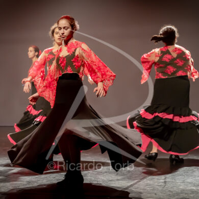 O ESPÍRITO DA DANÇA - 0094