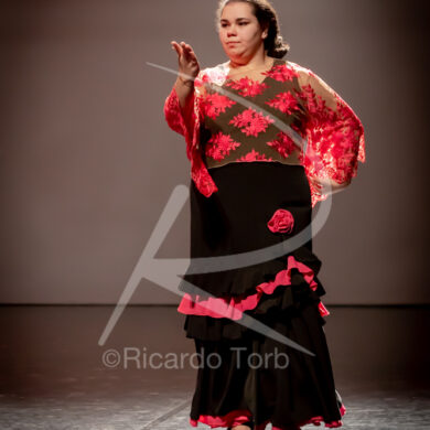 O ESPÍRITO DA DANÇA - 0095