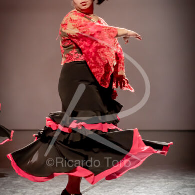 O ESPÍRITO DA DANÇA - 0100