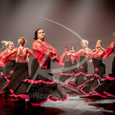 O ESPÍRITO DA DANÇA - 0101