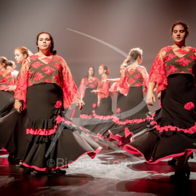 O ESPÍRITO DA DANÇA - 0102