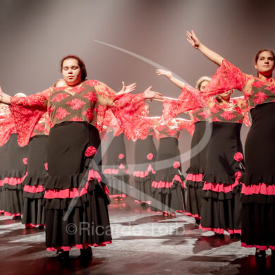 O ESPÍRITO DA DANÇA - 0103