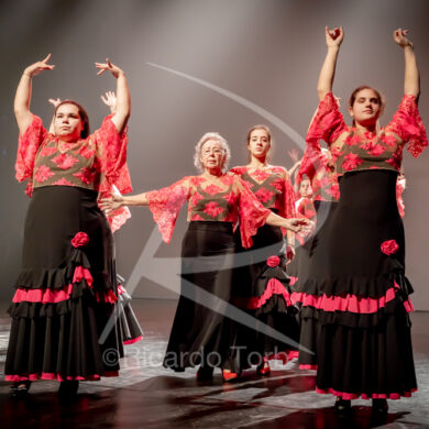 O ESPÍRITO DA DANÇA - 0104