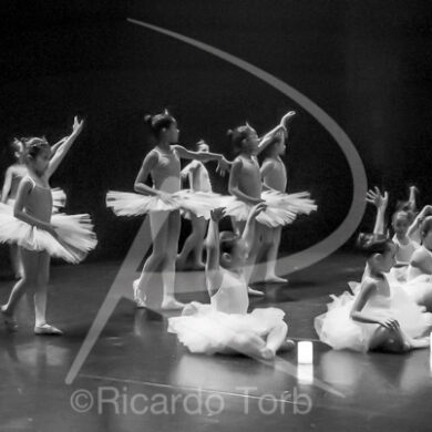 O ESPÍRITO DA DANÇA - 0110