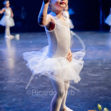 O ESPÍRITO DA DANÇA - 0117